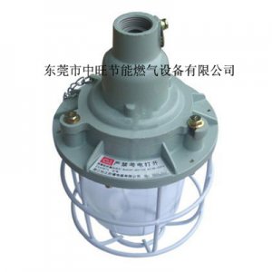 汽化器配套防爆灯