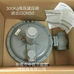 进口二级减压阀