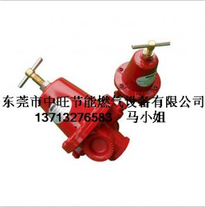 美国力高REGO汽化器一级减压阀