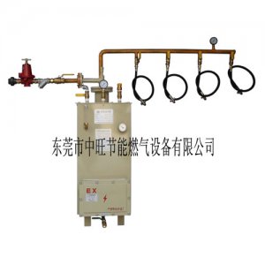 中旺星50KG落地式汽化器