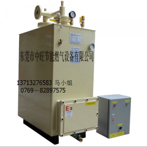 中旺星防爆300-500KG汽化器