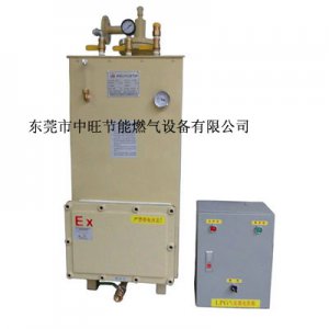 100KG落地式LPG汽化器