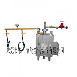 30KG壁挂式煤气化气炉