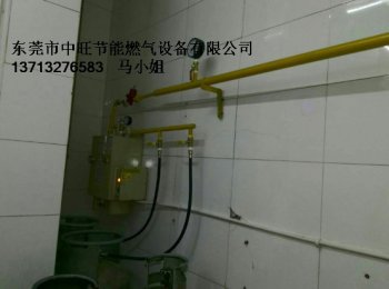  烤漆涂装设备专用汽化器